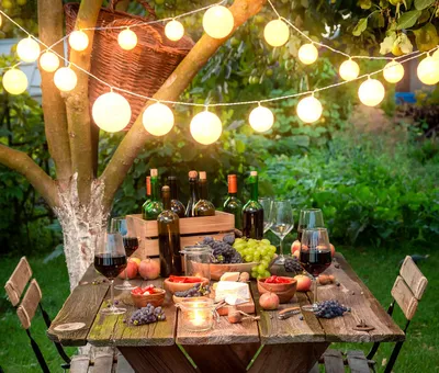 Outdoor Picnic Setup