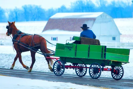 Winter horse and carriage 122 120