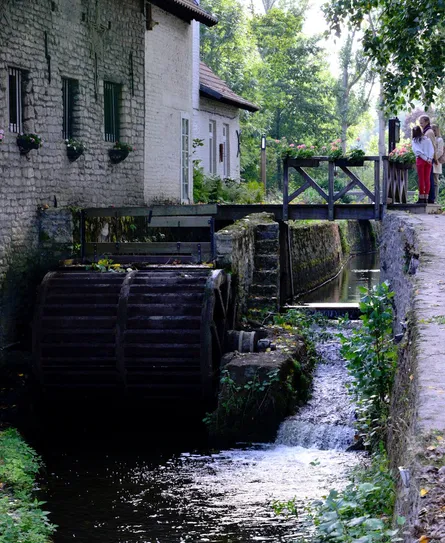 Rural Mill Creek