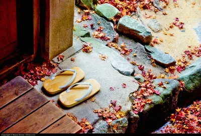 Sandals left side doorstep