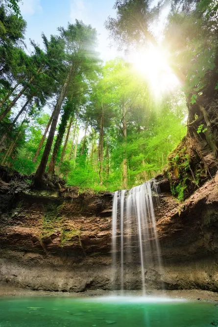 A waterfall in forest
