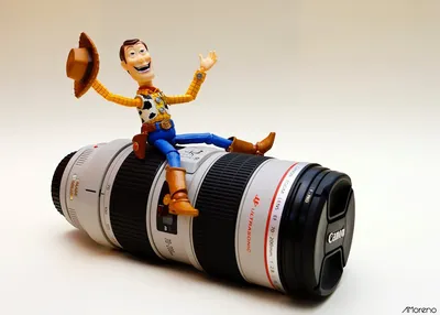 "Woody's Wild Photo Opportunity"