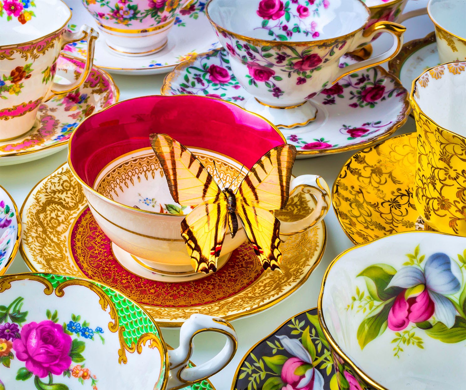 Butterfly Tea Party