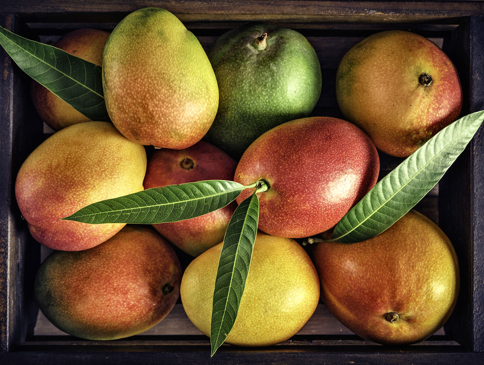 Fruit Basket Display