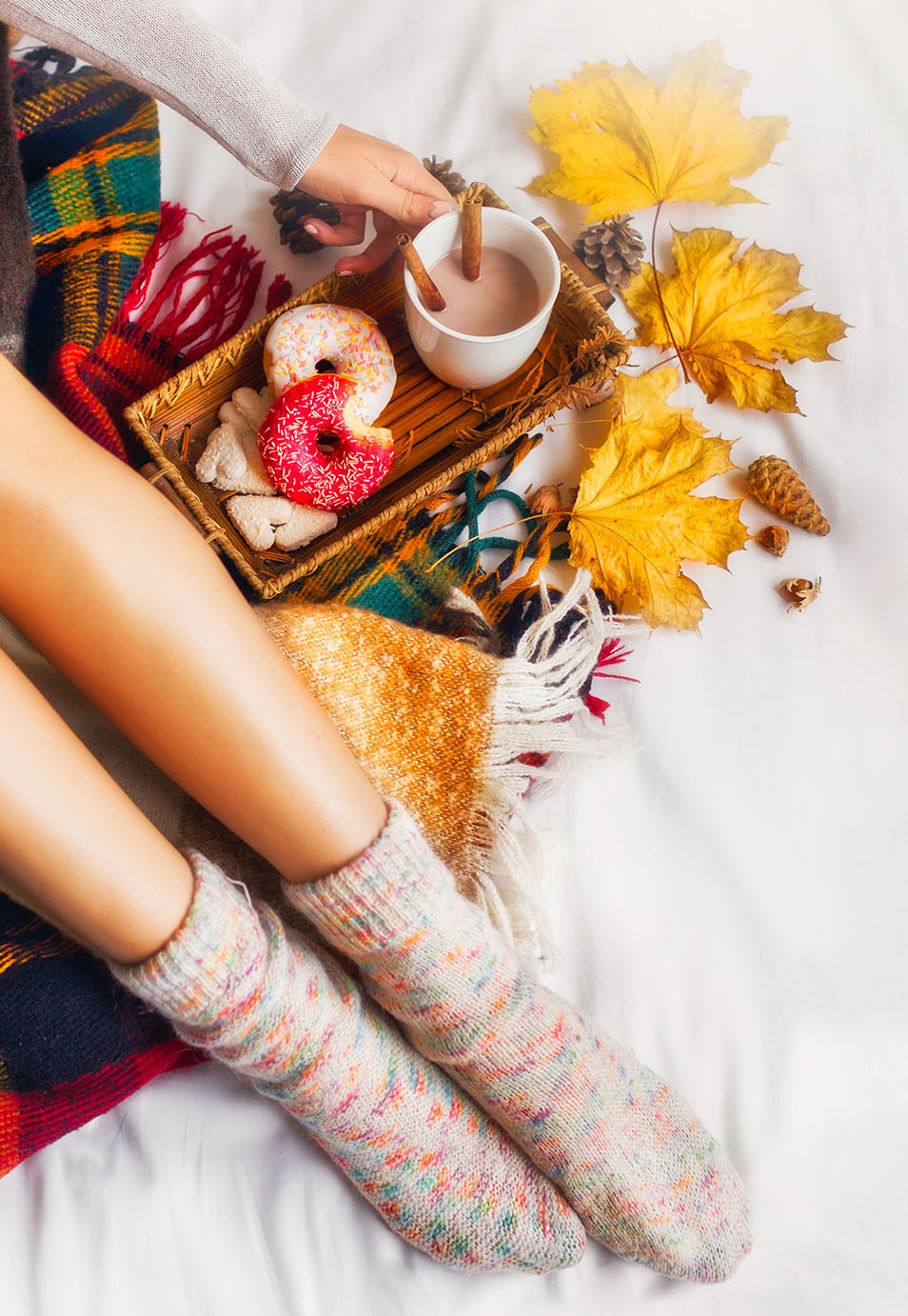 Cozy Fall Scene