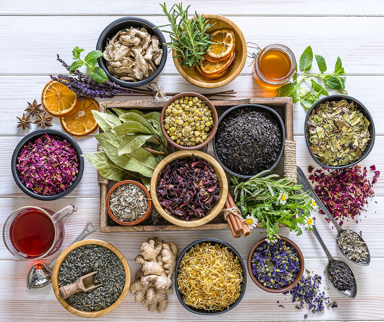 Herbs and Spices Collection
