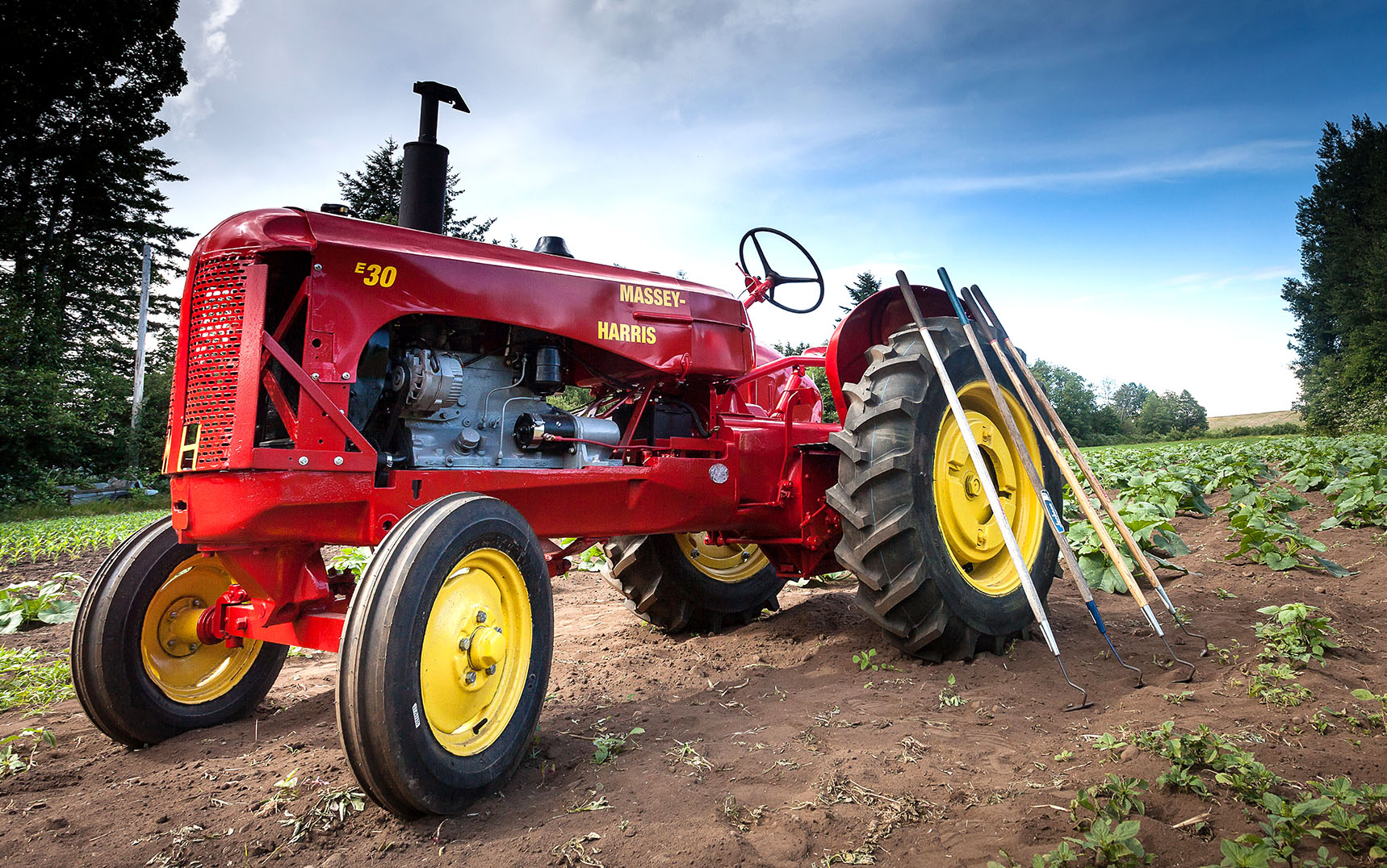 Red Tractor Display