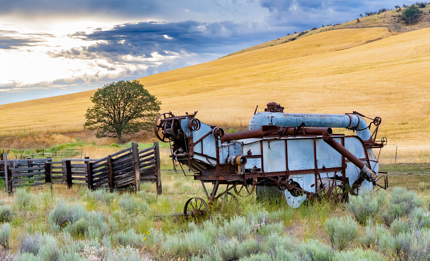 Old Tractor in Field