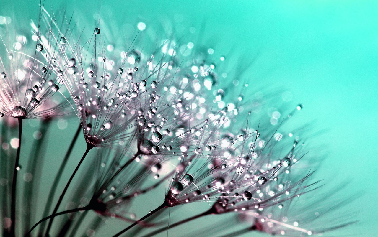 Beautiful water droplets