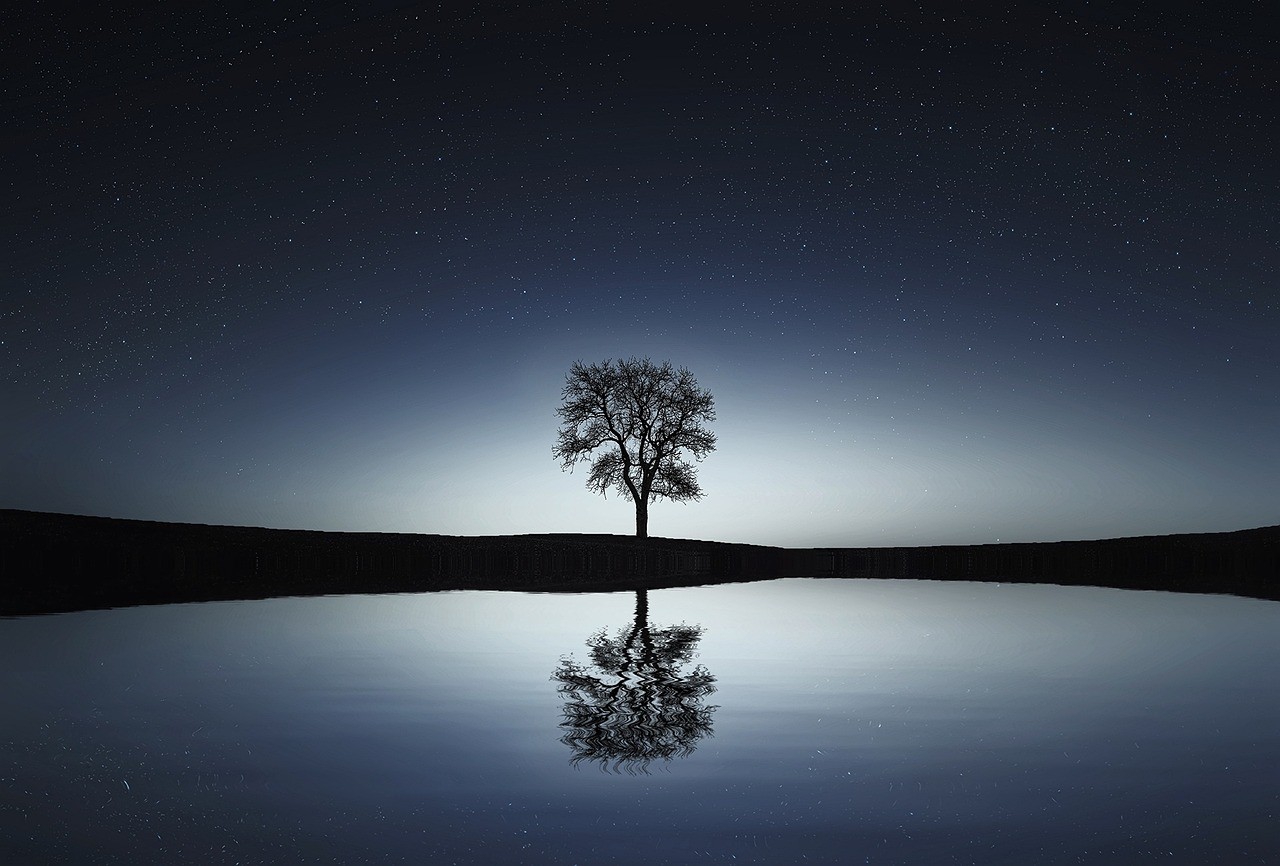 Silhouette tree under moon