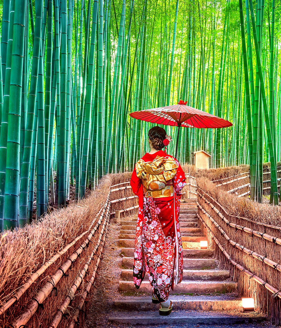 Walking path through bamboo forest