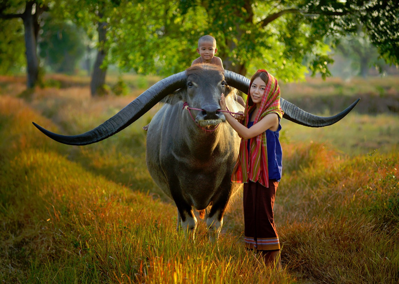 Wilderness Moment