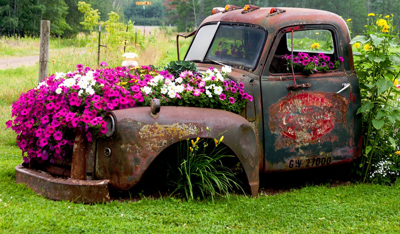Old Truck Garden